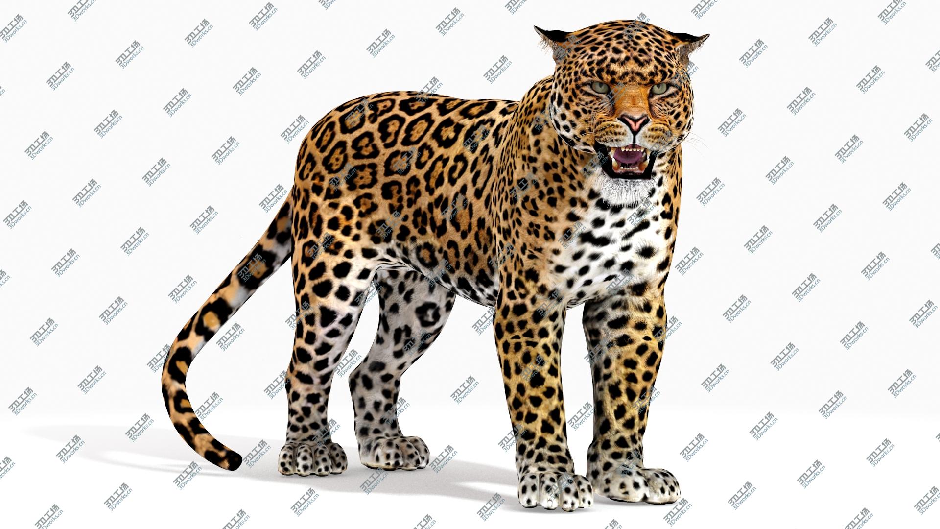 images/goods_img/202104092/Rigged J aguar 3D/5.jpg